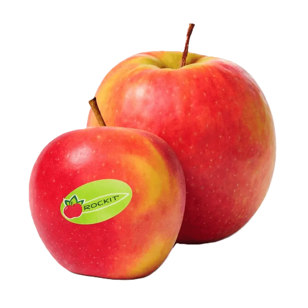 APPLE ROCKIT A GRADE