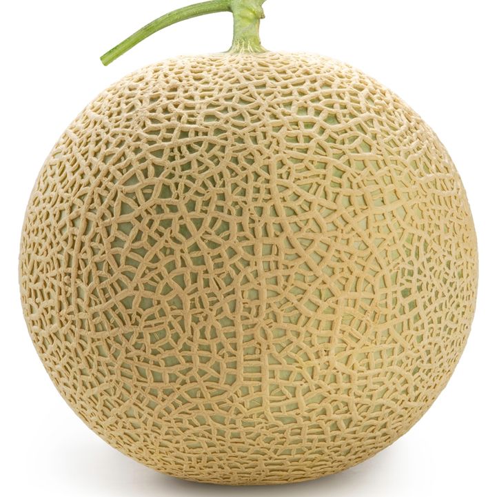 JAPANI MELON 1.5 KG TO 1.8 KG