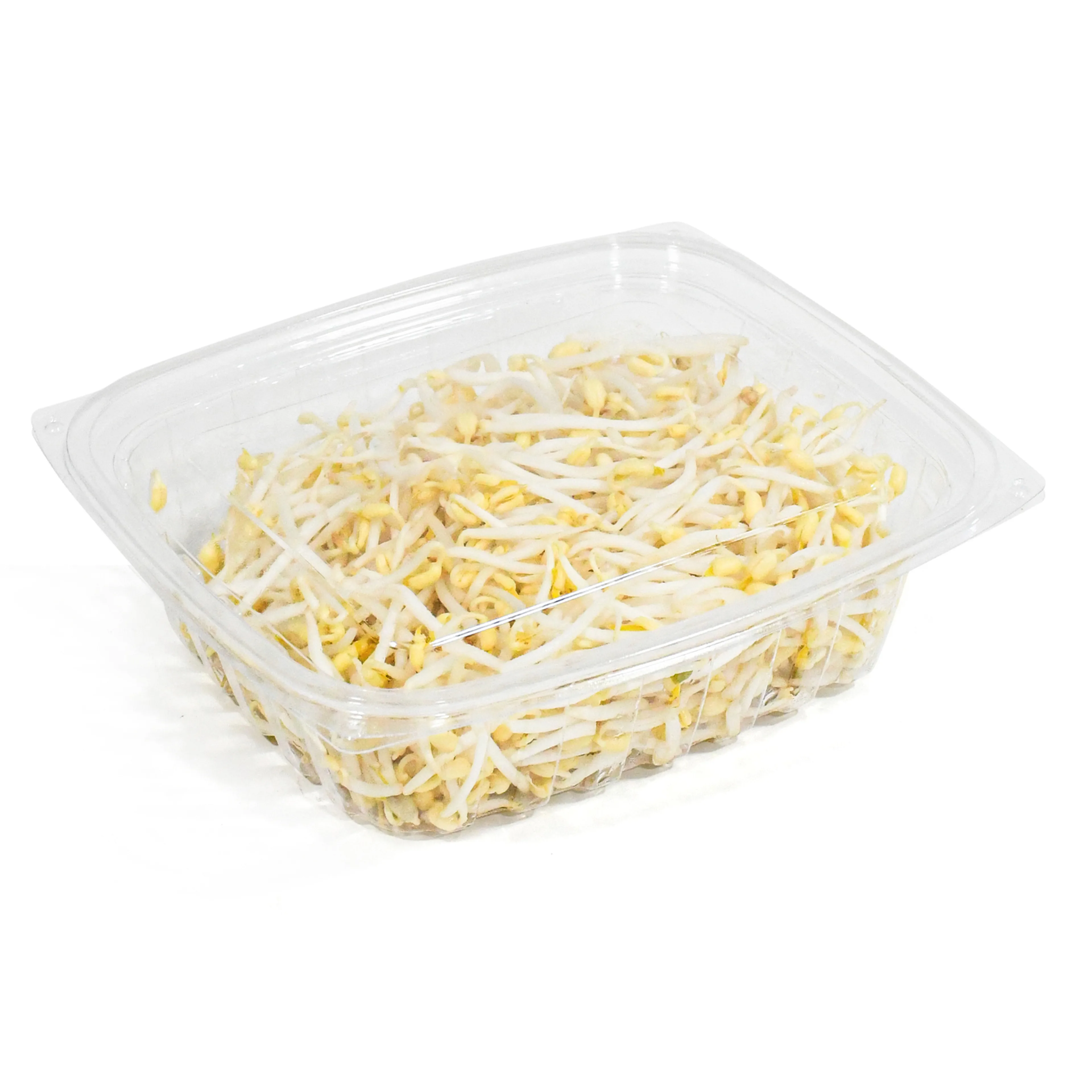 BEANS SPROUT PKT