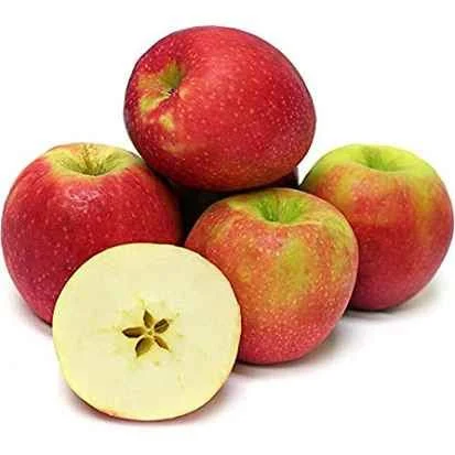 APPLE PINK LADY
