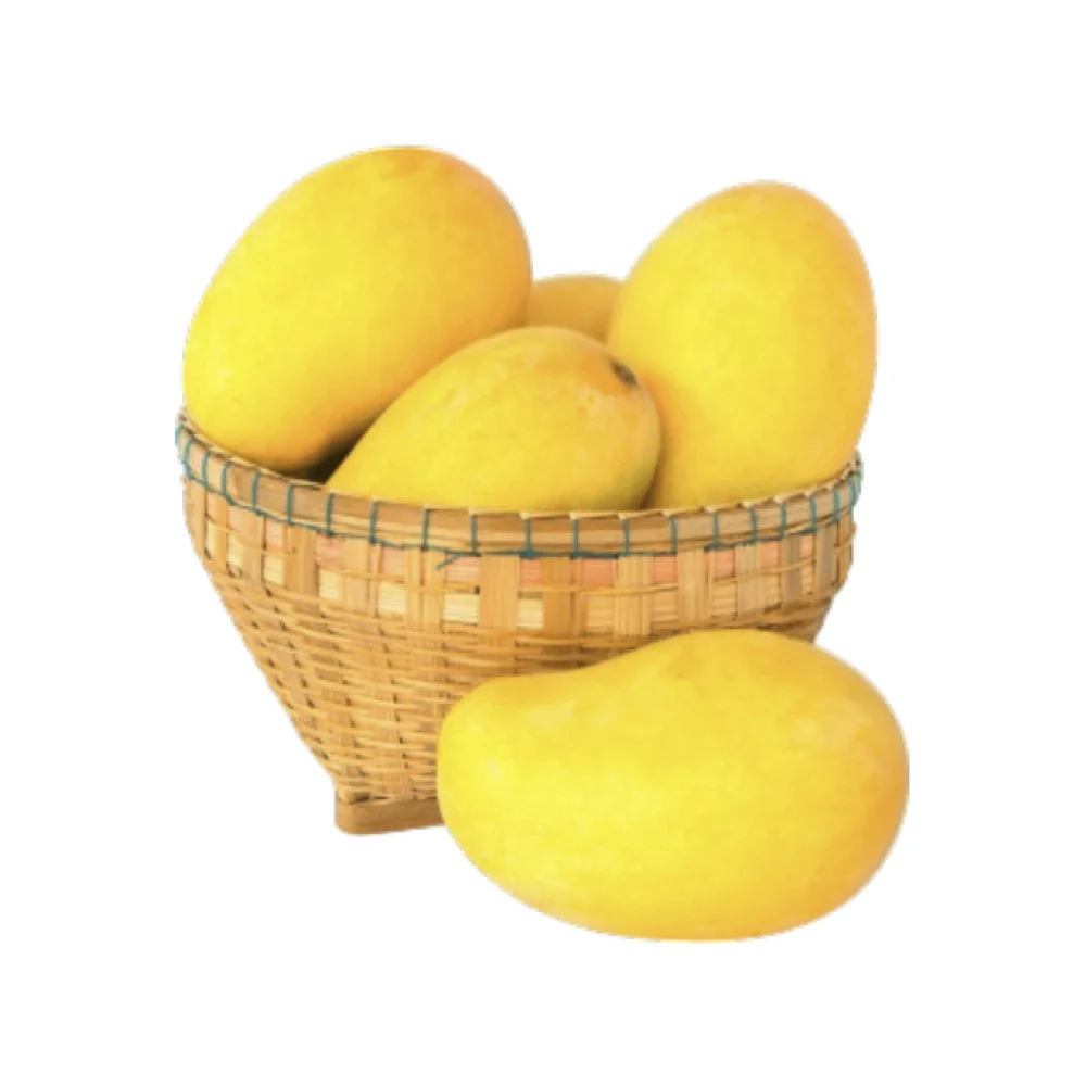 MANGO DINGA GOLDEN