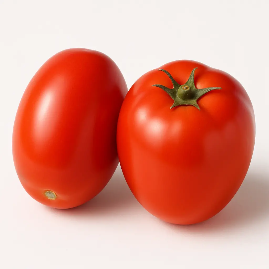TOMATO HYBRIDE A GRADE
