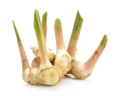 GINGER THAI 200 - 250GM