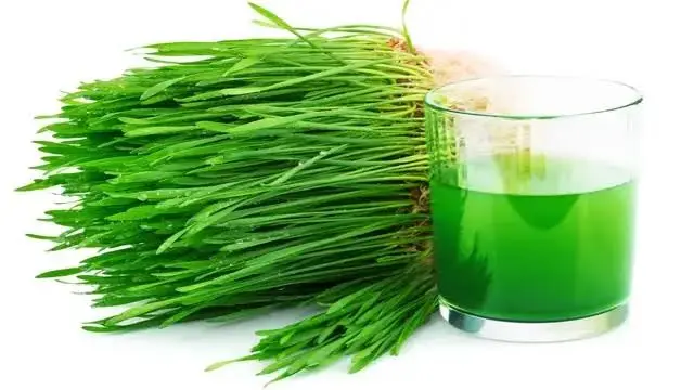WHEAT GRASS ( CHIVES ) - 300 GM