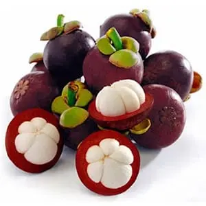 MANGO STEEN 450-500GM