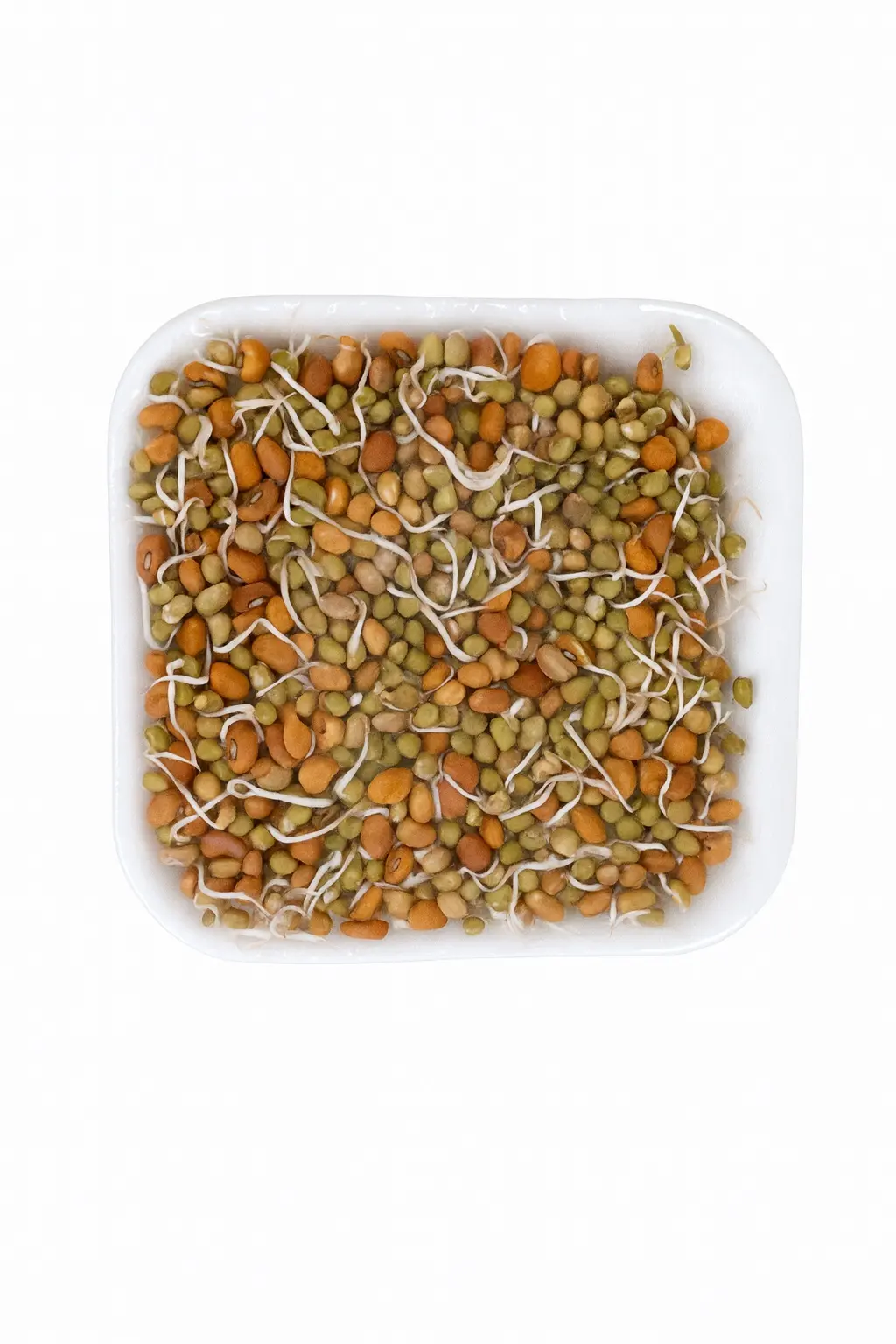 MIX SPROUT 1PKT
