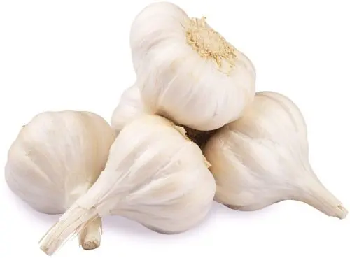 GARLIC DESHI