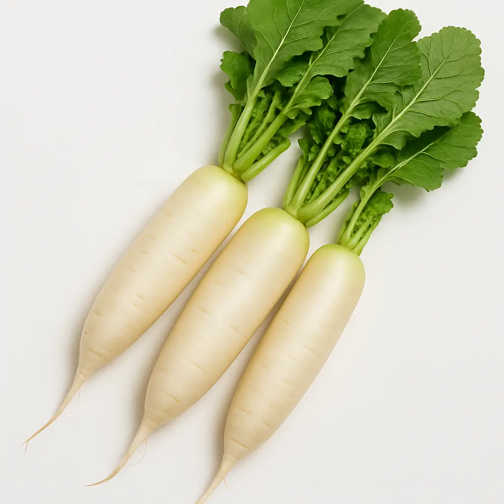 RADISH A GRADE