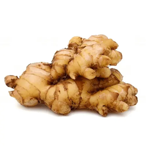 GINGER NEW