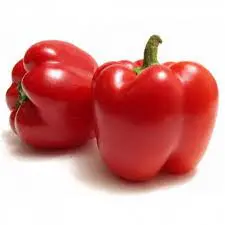 SHIMLA MIRCH RED