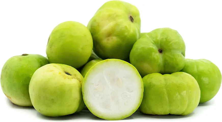 DESI TINDA A GRADE