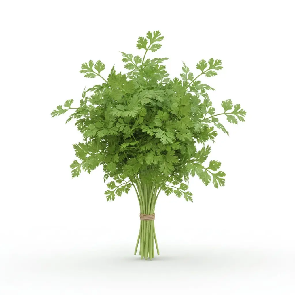 CORIANDER A GRADE (GREEN DHANIYA)