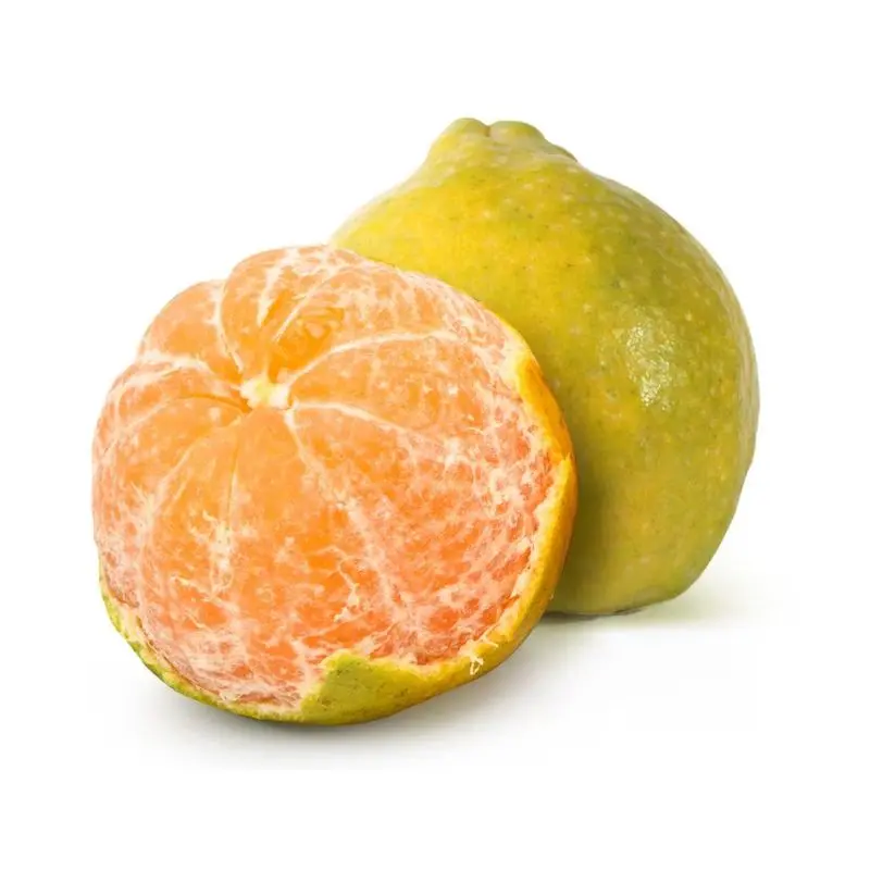 ORANGE NAGPUR 400-500gm