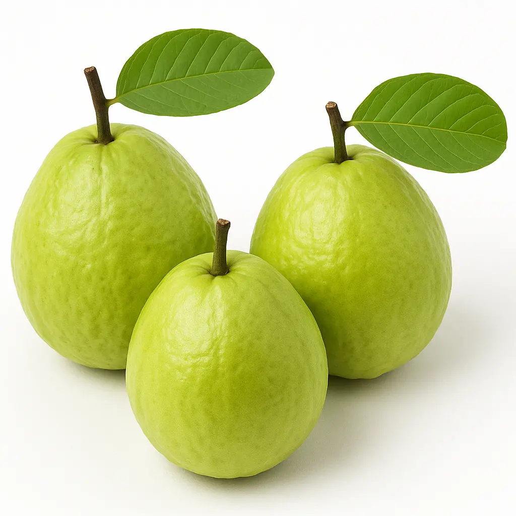 GUAVA DESI A GRADE 450-500GM