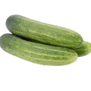 CUCUMBER MALINI