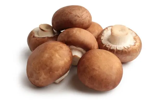 PORTOBELLO MUSHROOM PKT