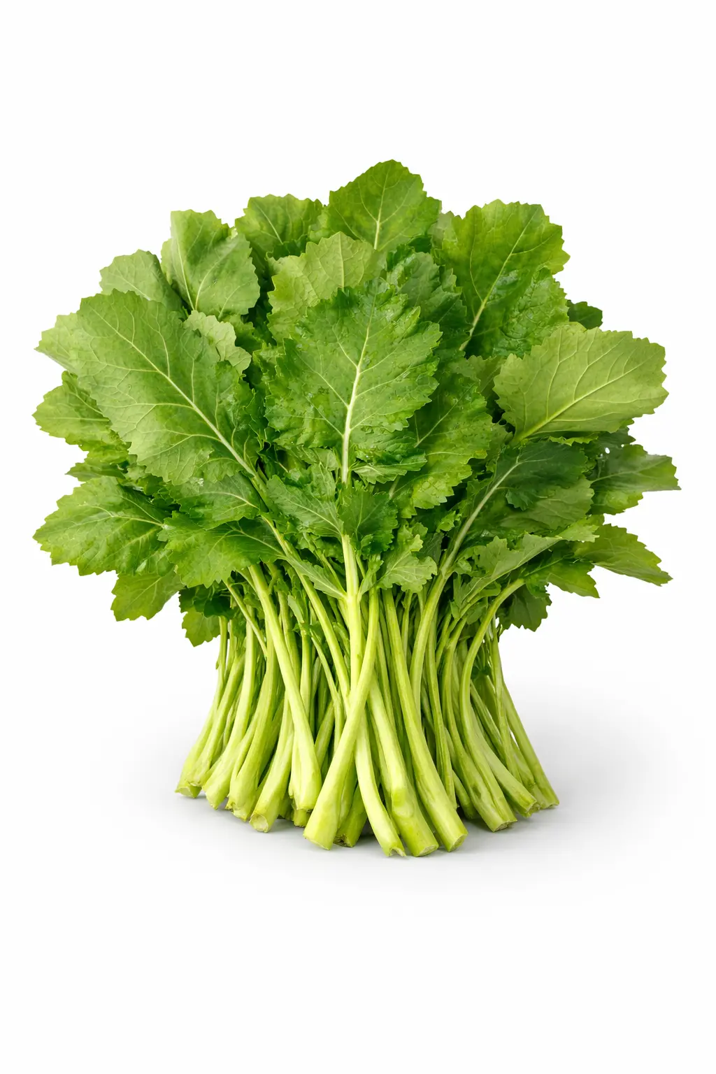 SARSO SAAG A GRADE