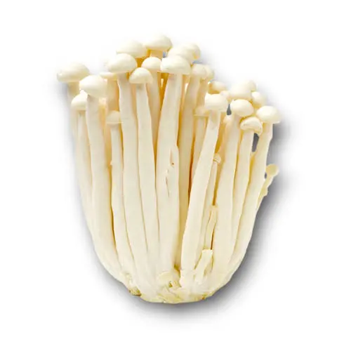 ENOKI MUSHROOM PKT