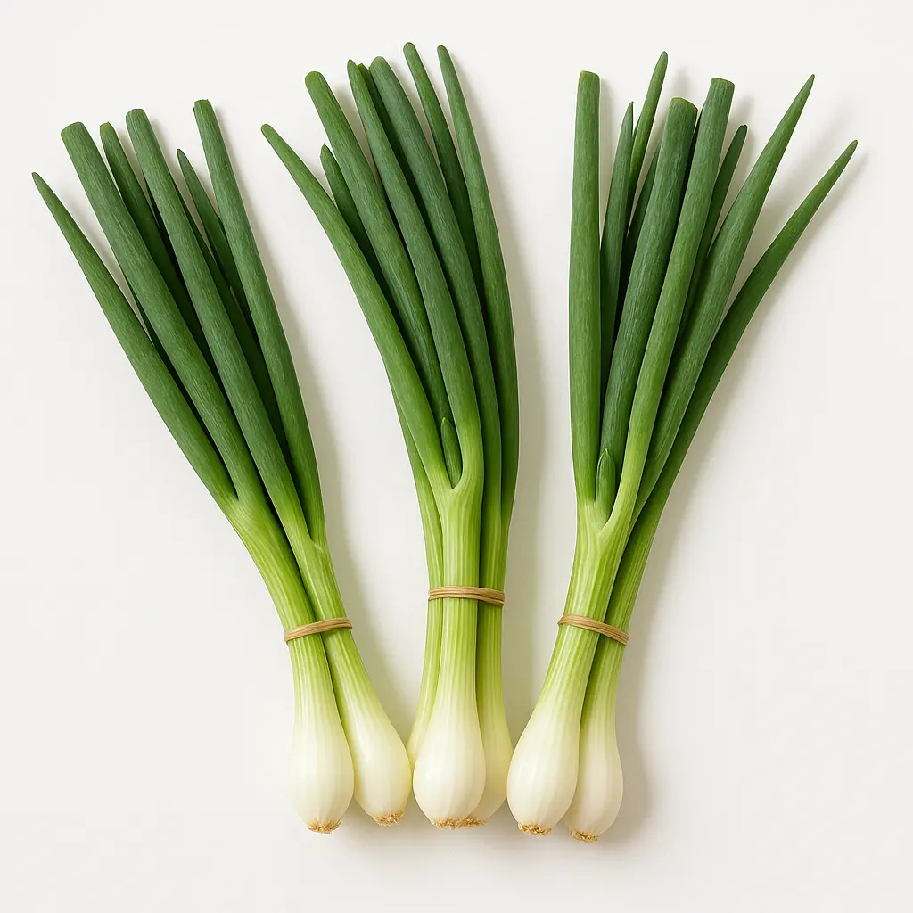 GREEN ONION A GRADE