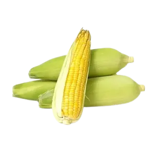 BHUTTA A GRADE 1 KG