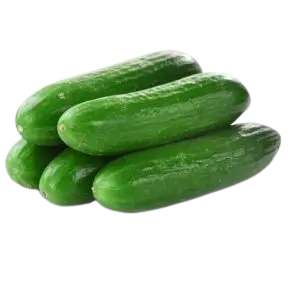 CUCUMBER HILTON
