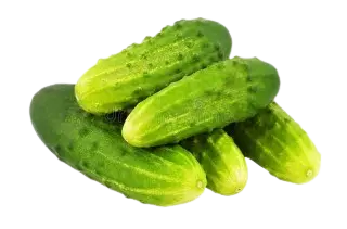 CUCUMBER DESI