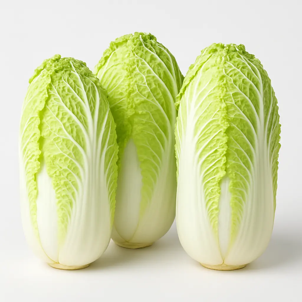 CHINA CABBAGE (NAPA) 800 TO 1KG