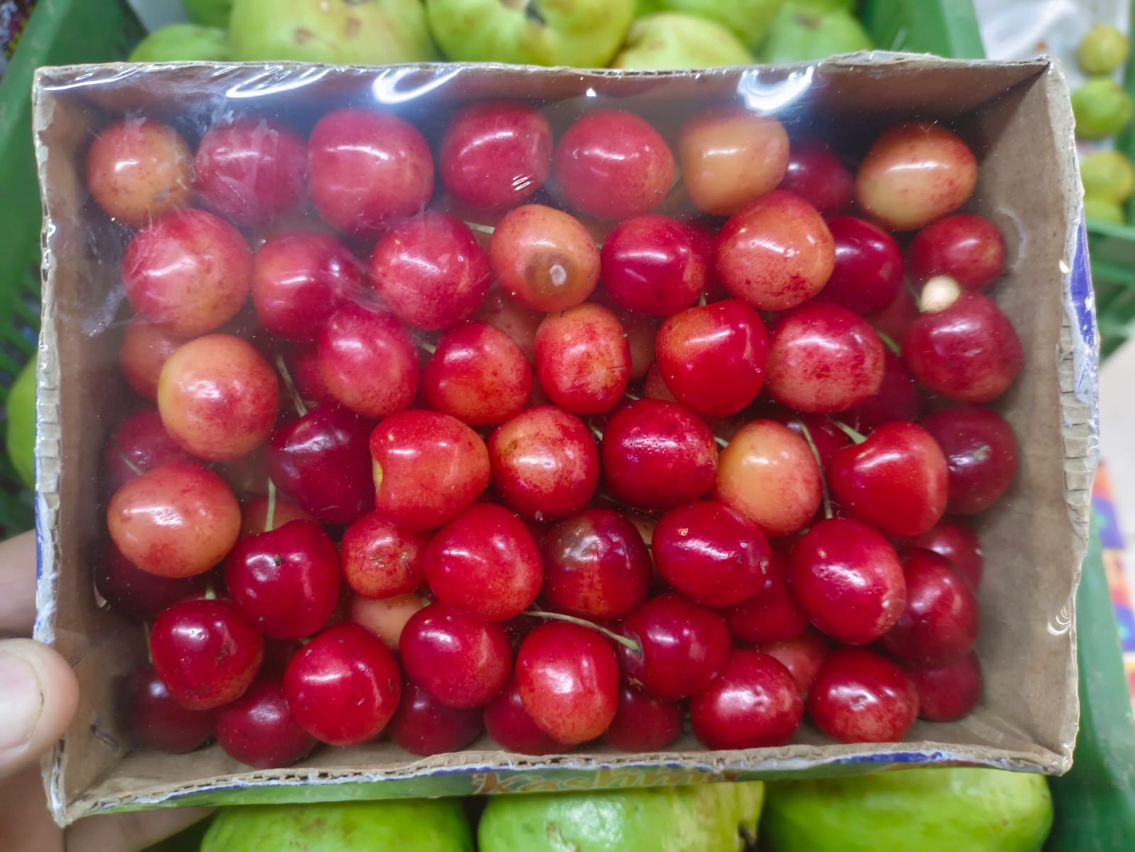 CHEERY KASHMIR BOX